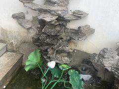 -太湖好灶头土菜馆(石公路店)