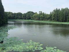 -东湖落雁景区