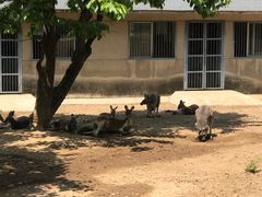 -西安秦岭野生动物园