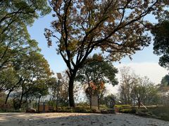 -上海市保健医疗中心