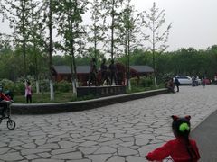 -东郊湿地公园