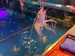 -钳真多钓虾馆·小龙虾海鲜烧烤(九六广场店)