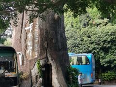 -青青世界