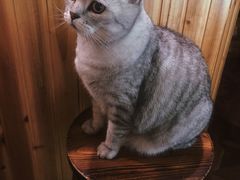 -隅cafe(傅厚岗店)