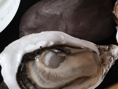 -斯普汇生蚝牛排馆(中骏世界城店)