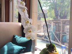 -南山鲜虾面·活鲜小馆·海味大连菜(南山总店)