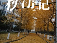 -辽宁大学(崇山校区)