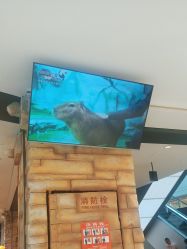 -Zoolung Zoolung动物主题公园(海信广场店)