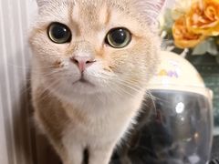 -Aqua Oasis 水天堂(常熟永旺店)