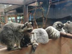 -昆明动物园