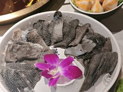 -小龙坎火锅(总店)