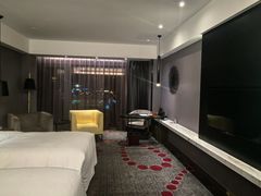 -南京禄口机场雅高铂尔曼大酒店