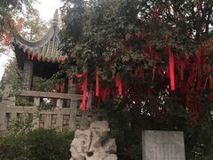 -云龙山