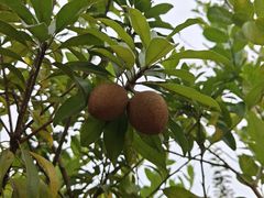 -中国移动南方基地