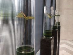 -济南绿地美利亚酒店