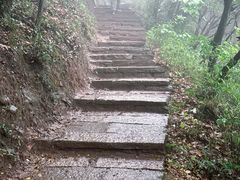 -杭州半山国家森林公园