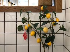 -HAVE A ROOM·有间质果(总店)