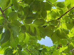 -玄武湖景区-情侣园游乐场