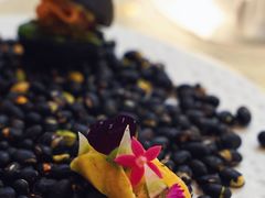 -九献创意菜(亮马河花园店)