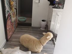 -糖房咖啡(南锣鼓巷店)