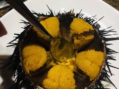 海胆-正黄旗海鲜烧烤大排档(延安路总店)