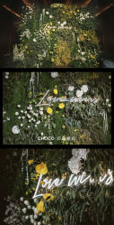 -CHOCO-启蔻婚礼(三亚公司)