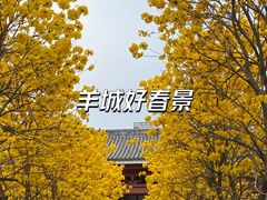 -光孝寺