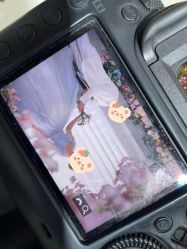 -青禾蒙娜丽莎婚纱摄影(武汉总店)