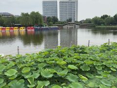 -西海子公园