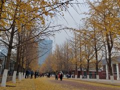 -辽宁大学(崇山校区)