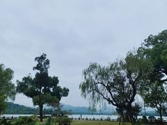 -杭州西湖柳莺里酒店