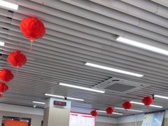 -小马牛肉面·牛骨熬制(南京博物院店)