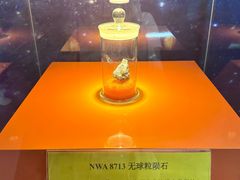 -紫金山天文台