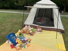 -上海共青森林公园