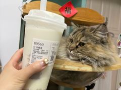 -阿嬷手作(上海万象城店)