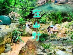 -南海湾森林生态园