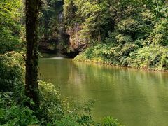 -龙苍沟森林公园