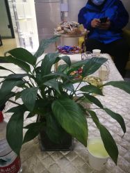 -痘博士北京·全国连锁祛痘机构