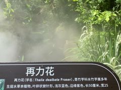 -江苏三台山国家森林公园