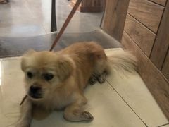 -面包与我Bread Or Me(长城汇店)