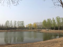 -东郊湿地公园