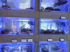 -映像威海·威海宴(威高广场店)