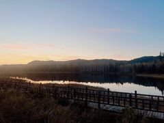 -汤旺河林海奇石景区
