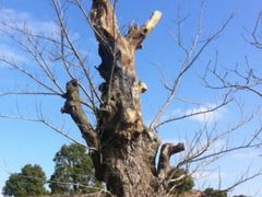 -南通洲际绿博园