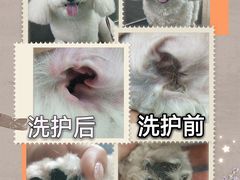-汤姆宠物(长青北路店)