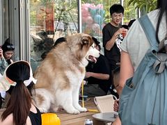 -SAANCI山池咖啡(海上世界文化艺术中心店)