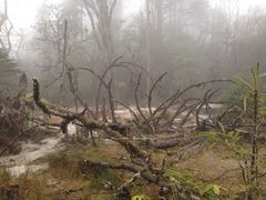 燕子沟景区-燕子沟风景区