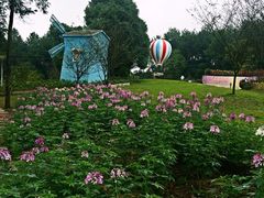 -铁山坪森林公园