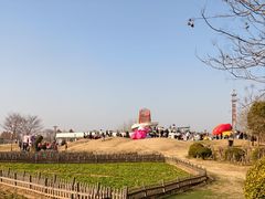 -荷兰花海