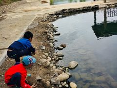 -杨树湾村村民委员会电动汽车充电站